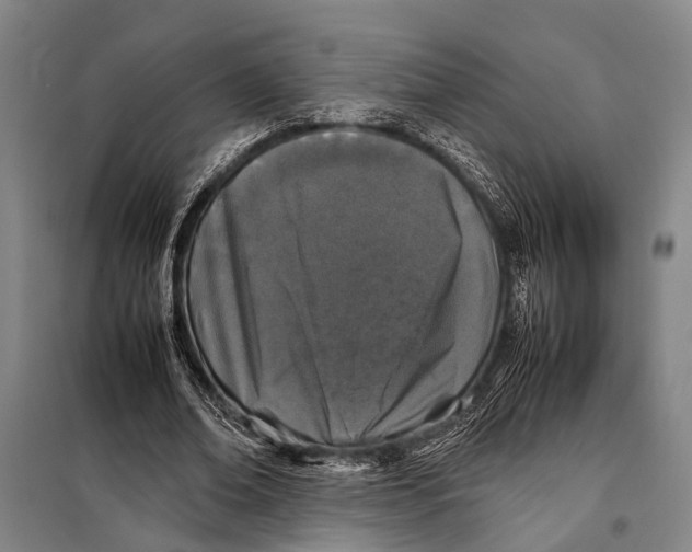 X0000097980678200804211038