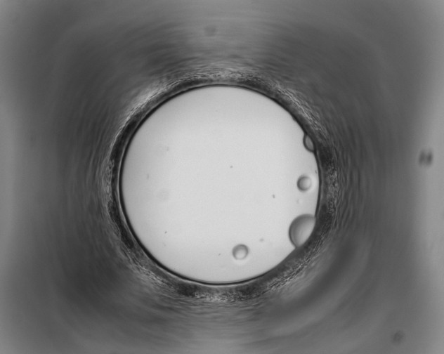 X0000097980679200804211038