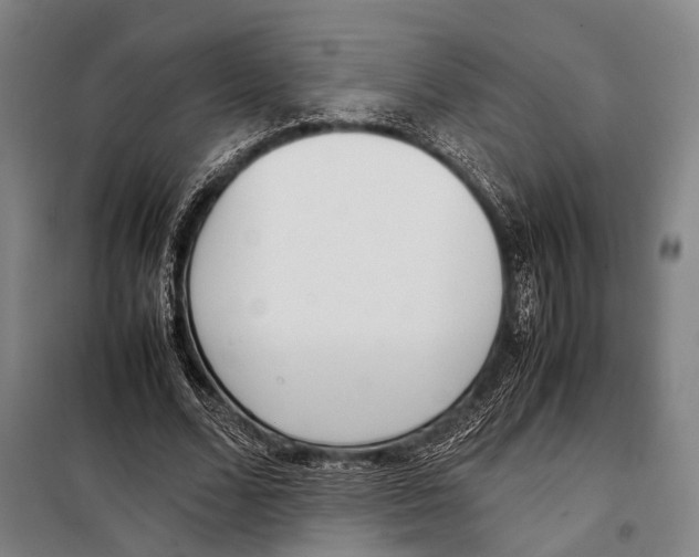 X0000097980680200804211038