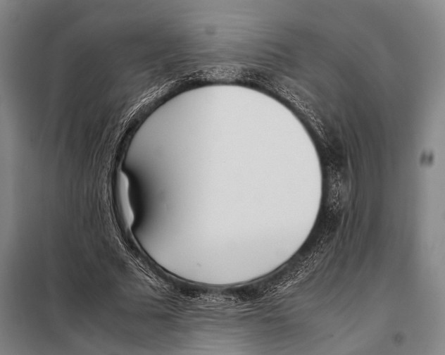 X0000097980681200804211038