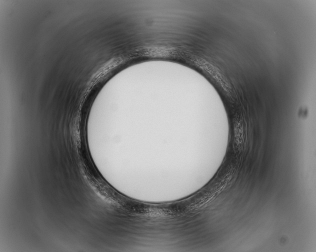 X0000097980682200804211038