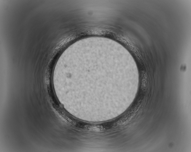 X0000097980683200804211038