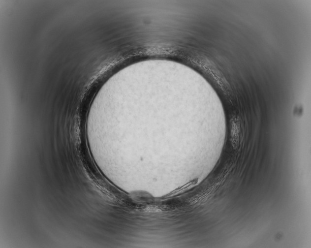 X0000097980684200804211038