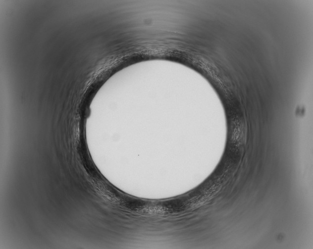 X0000097980685200804211038