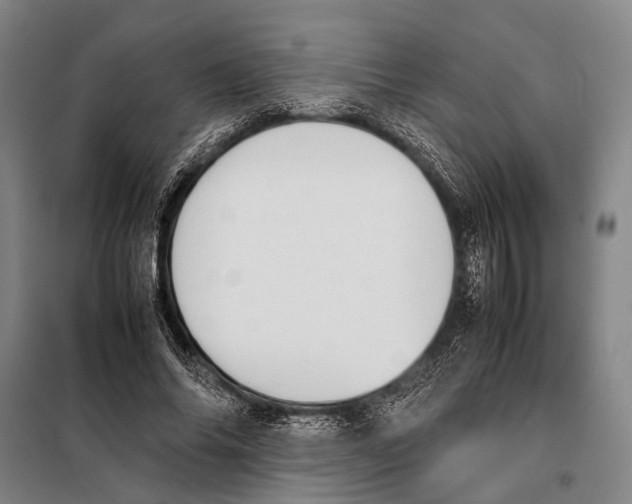 X0000097980686200804211038