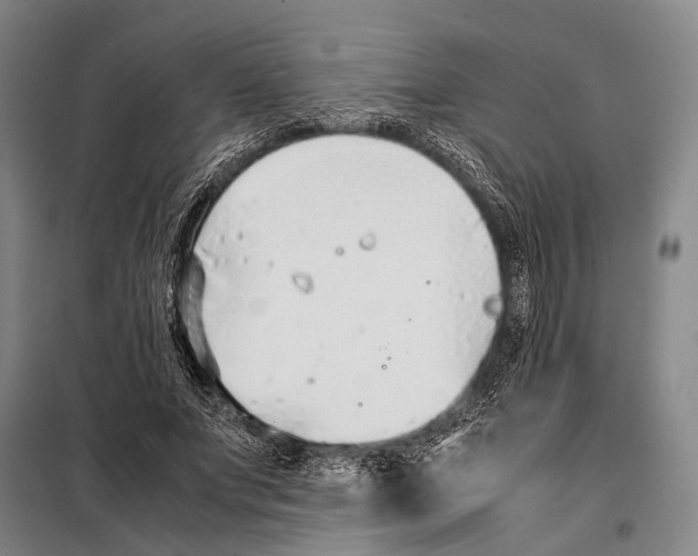 X0000097980687200804211038