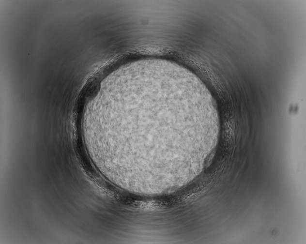 X0000097980688200804211038