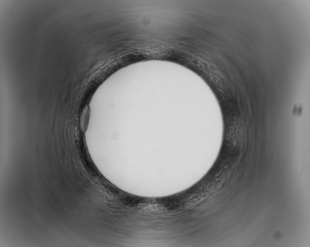 X0000097980689200804211038