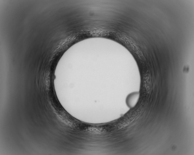 X0000097980690200804211038