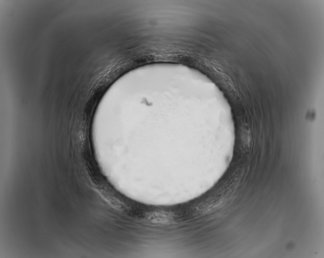 X0000097980691200804211038