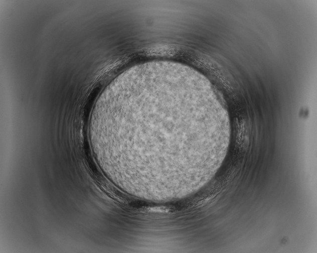 X0000097980692200804211038