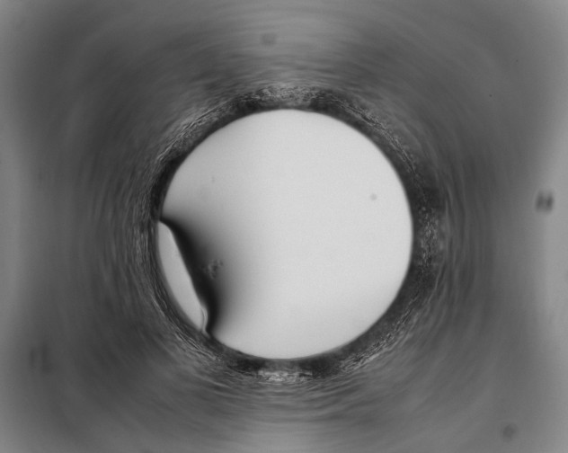 X0000097980693200804211038