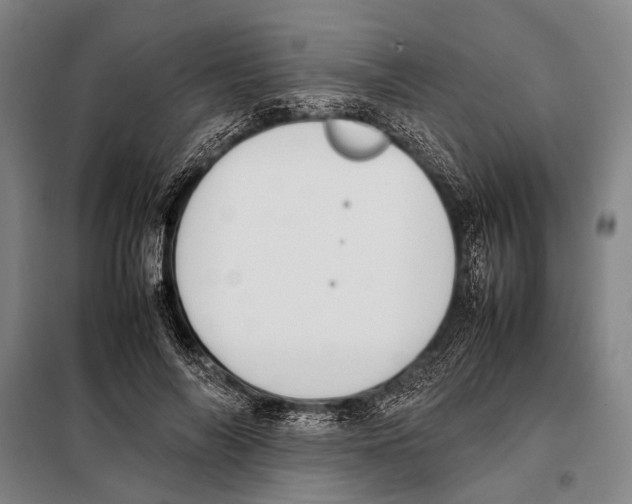 X0000097980694200804211038