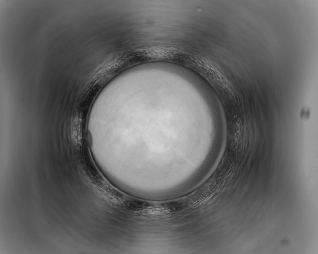 X0000097980696200804211038