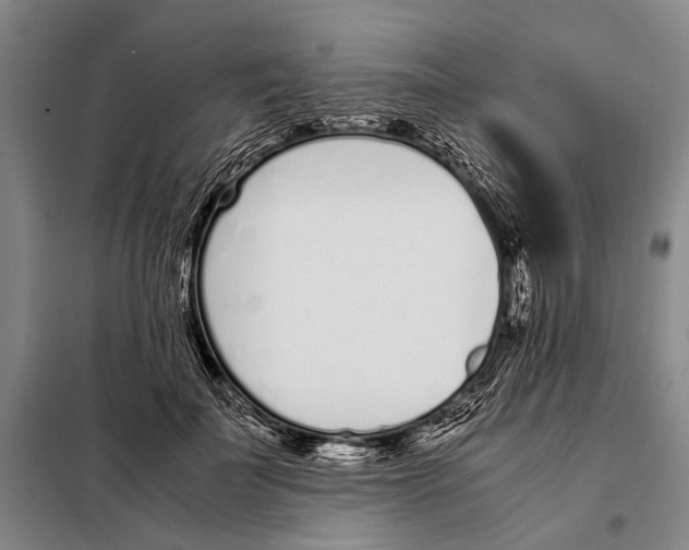 X0000097980699200804211038