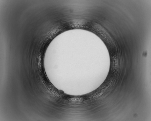 X0000097980700200804211038