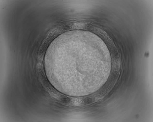 X0000097980701200804211038