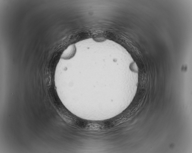 X0000097980703200804211038