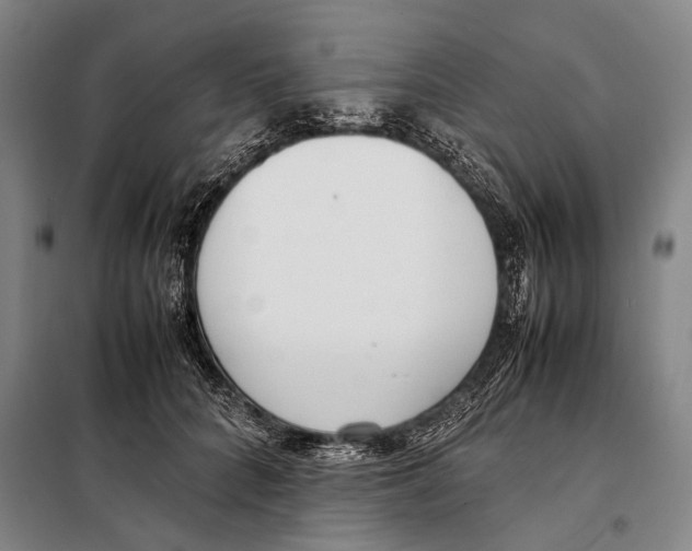 X0000097980704200804211038