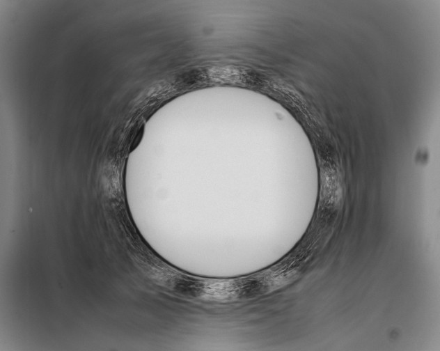 X0000097980705200804211038