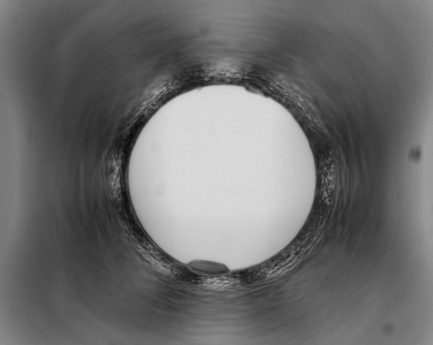 X0000097980708200804211038