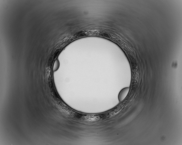 X0000097980711200804211038