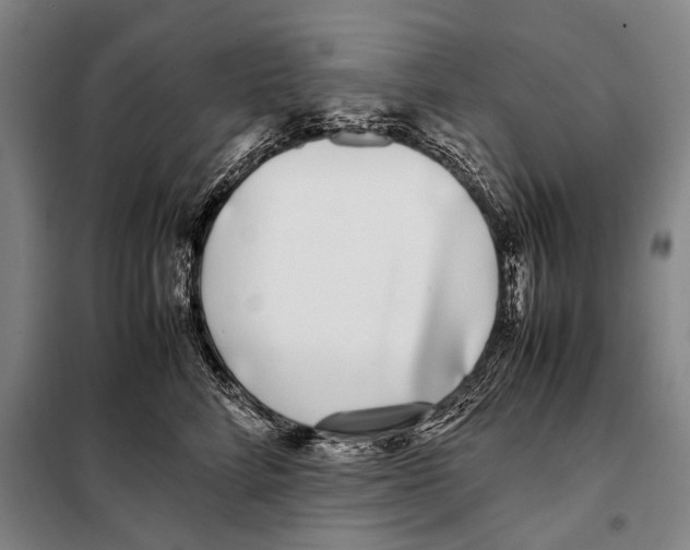 X0000097980712200804211038