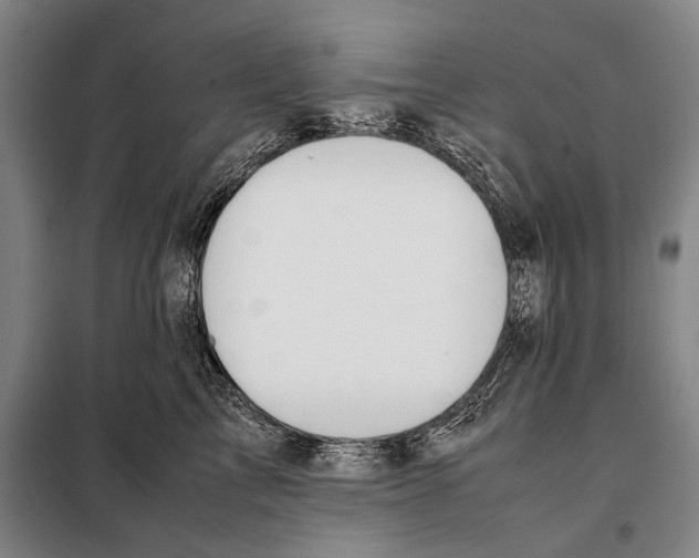 X0000097980713200804211038