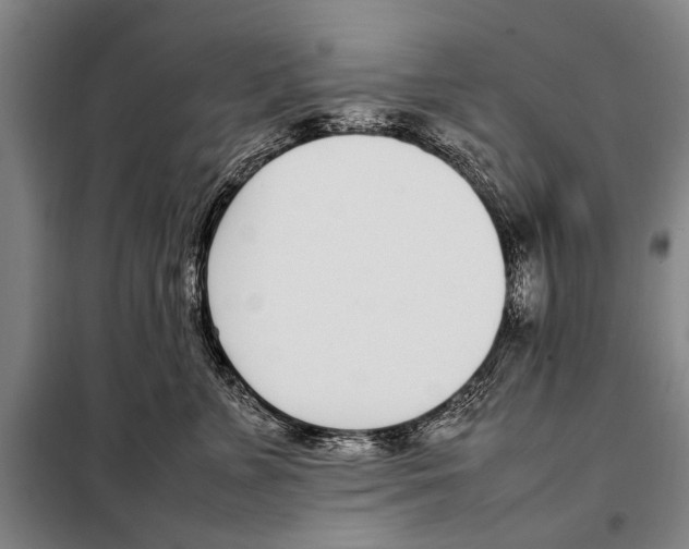 X0000097980715200804211038