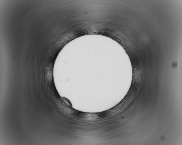 X0000097980719200804211038