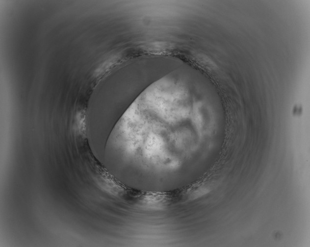 X0000097980720200804211038