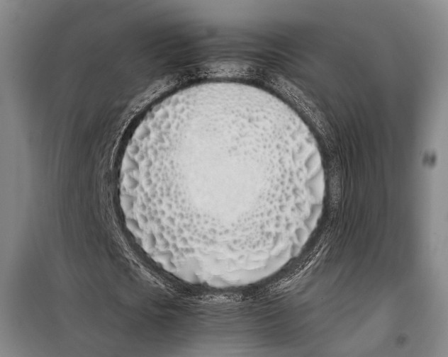 X0000097980721200804211037