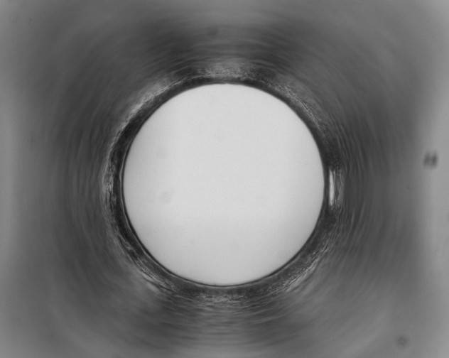 X0000097980723200804211037