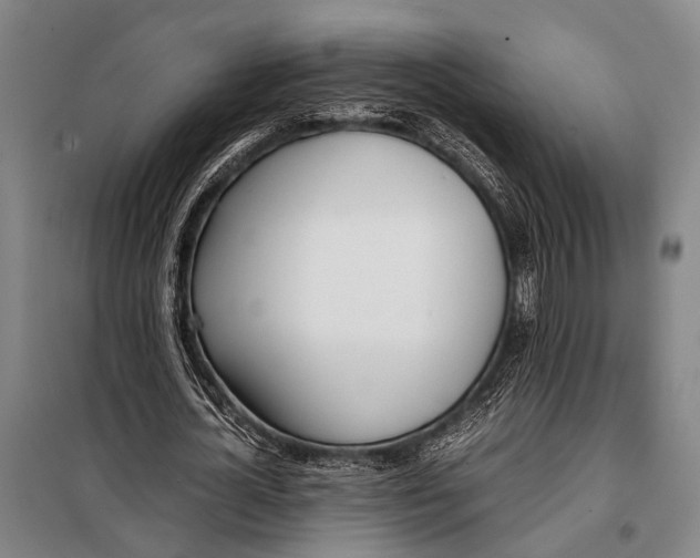 X0000097980724200804211037