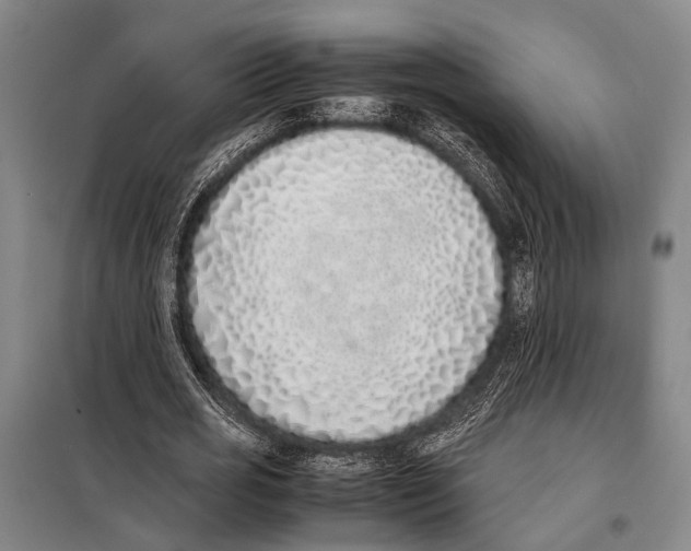 X0000097980725200804211037