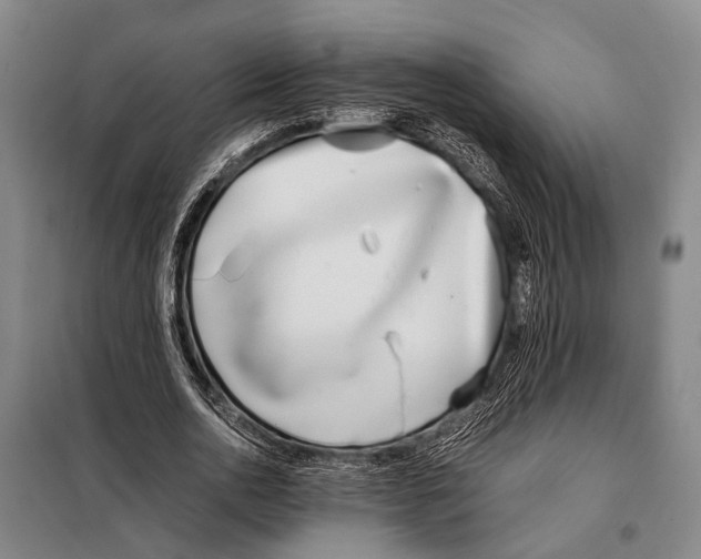 X0000097980726200804211037