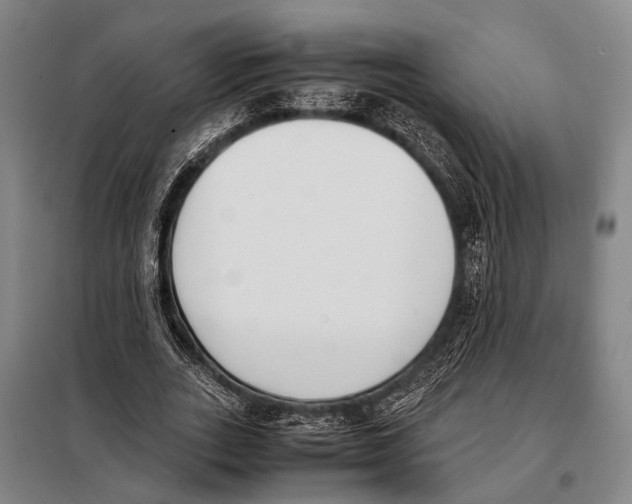 X0000097980727200804211037