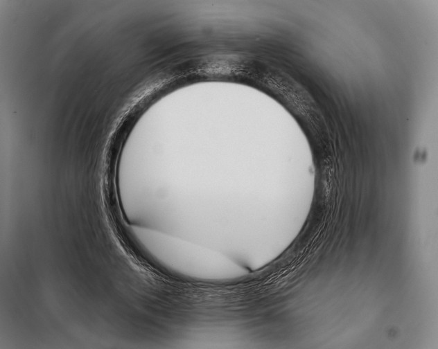 X0000097980728200804211037