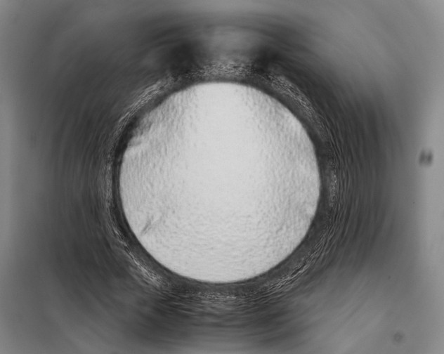 X0000097980729200804211037