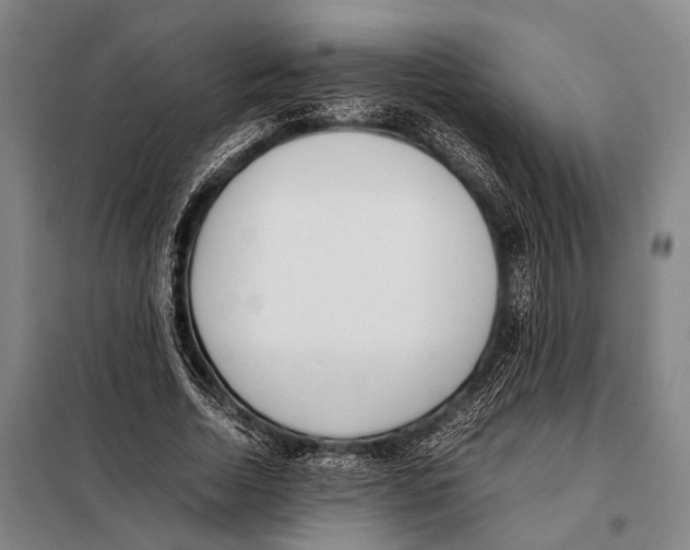 X0000097980730200804211037