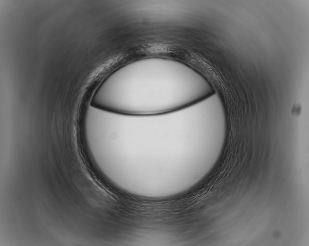 X0000097980732200804211037