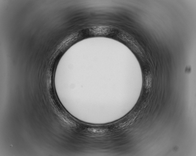 X0000097980733200804211037