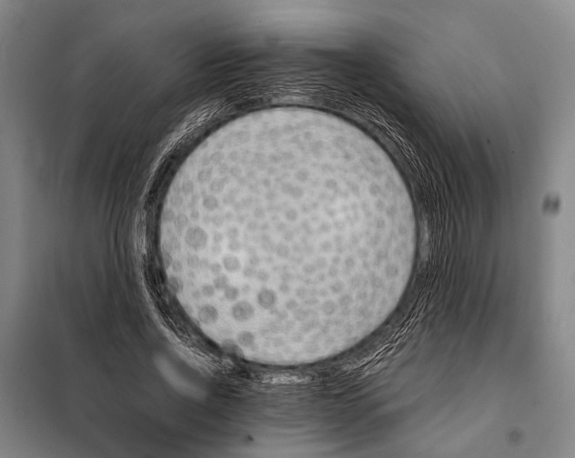 X0000097980734200804211037