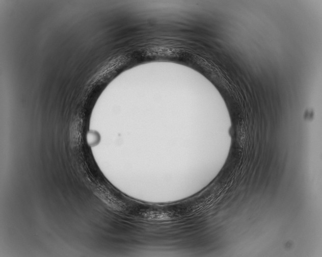 X0000097980735200804211037