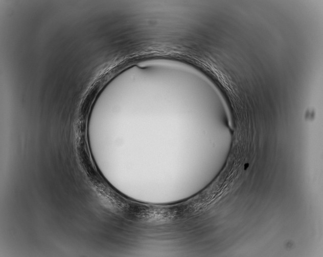 X0000097980736200804211037