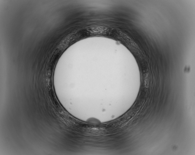 X0000097980737200804211037