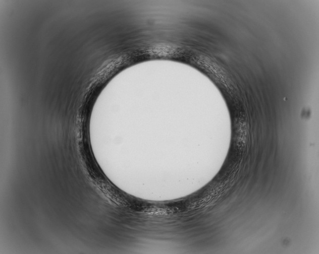 X0000097980738200804211037