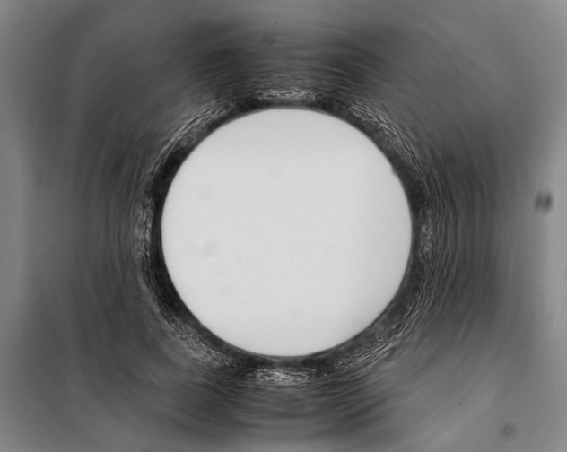 X0000097980739200804211037