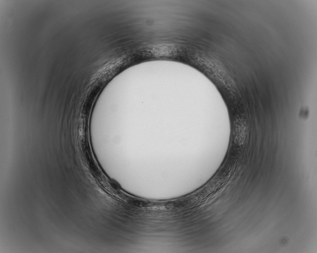 X0000097980740200804211037