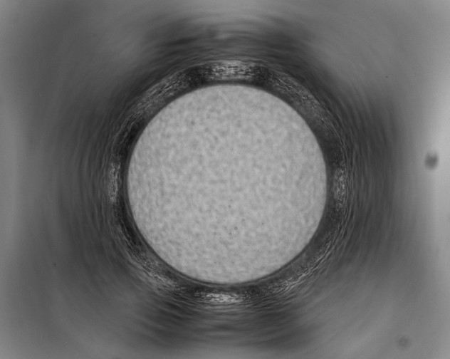 X0000097980741200804211037